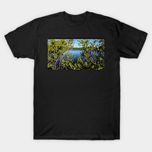 Looking through the mangroves at Robinson Preserve T-Shirt